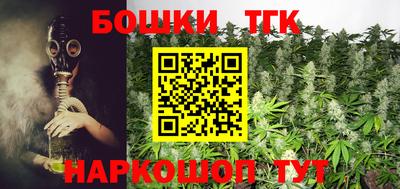 сатива Коммунар